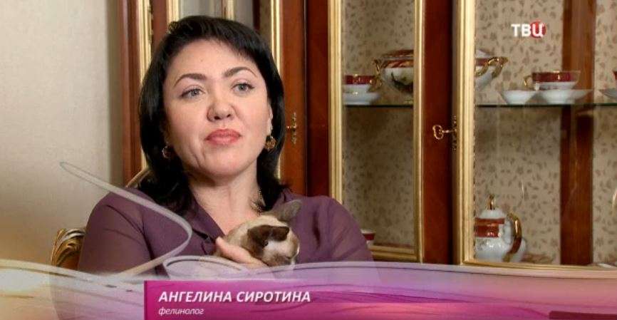 Ангелина Сиротина на ТВЦ